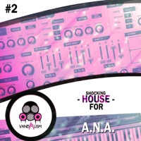 Shocking House For A.N.A. 2 - Collection of presets that cover all areas of House music