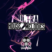 Ultra House Melodies - MIDI Loops inspired by artists such as Don Diablo, Avicii and Michael Calfan