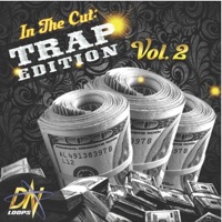 In The Cut: Trap Edition Vol 2 - Trap-style fire for your sample library