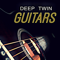 Deep Twin Guitars - Over 650MB of guitar sessions