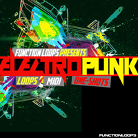Electro Punk - A must have for all the 'harder-stuff' producers