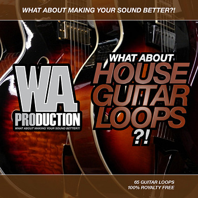 What About House Guitar Loops - A brand new sample library for modern electronic dance 