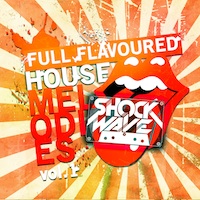 Full Flavoured House Melodies Vol.1 - 50 MIDI loops designed for producers of Club, House, Dance music