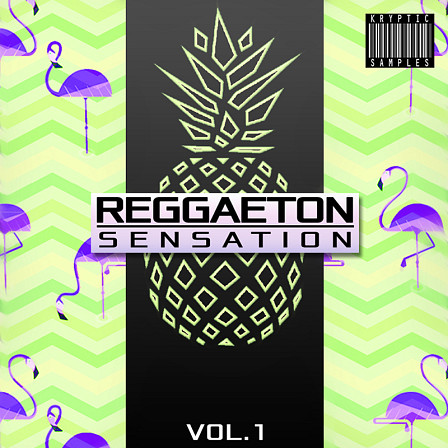 Reggaeton Sensation Vol 1 - A mixture of Latin and Carribean tastes for Reggae creation
