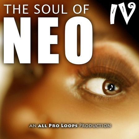 Soul of Neo 4, The - A collection of feel good Neo Soul tunes