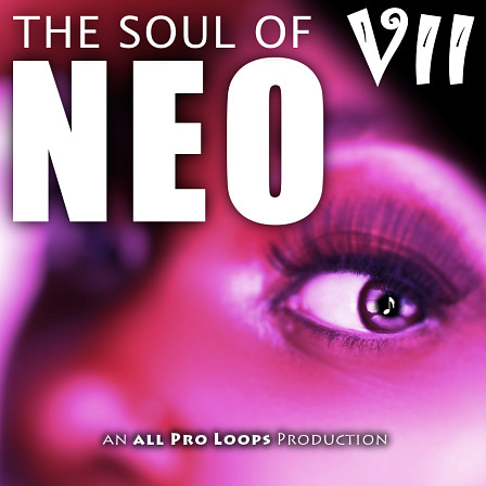 Soul of Neo 7, The - Inspired by Neo Soul makers such as D'Angelo, Erykah Badu, Jill Scott & more