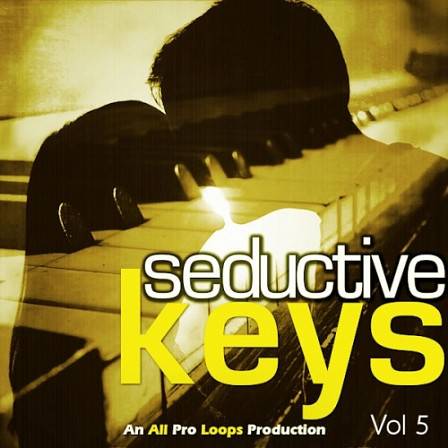 Seductive Keys 5 - The fifth collection of romantic, smooth and relaxing old school R&B grooves