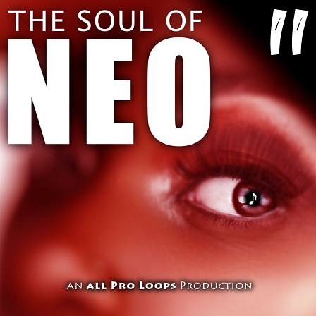 Soul of Neo 2, The - Part two of a collection of feel good Neo Soul tunes
