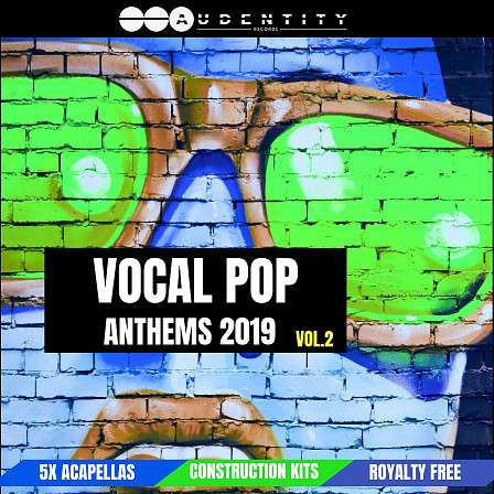 Vocal Pop Anthems 2019 - Fresh and forward-looking vocals and acapellas!