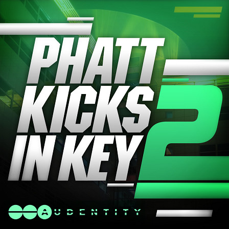 Phatt Kicks in Key 2 - 111 new smashing 24-Bit kicks & dirty EDM sounds