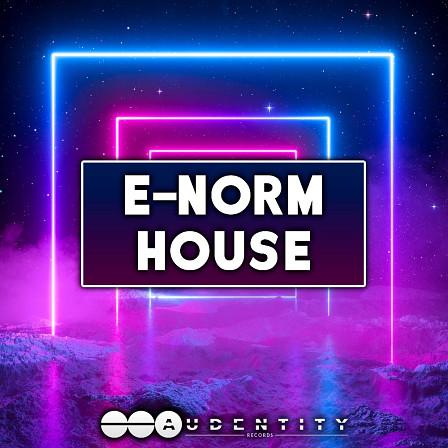 E-Norm House - Inspired by labels like Spinnin Deep, Defected Records and others.