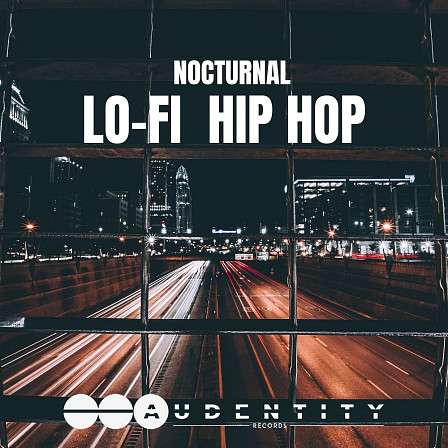 Nocturnal LoFi Hip Hop - That popular worn, dusty Lo-Fi sound you're looking to pick up for your next hit