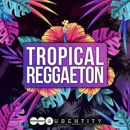 Tropical Reggaeton Vol 1 - Two popular genres combined into one hot, new summer sample pack!