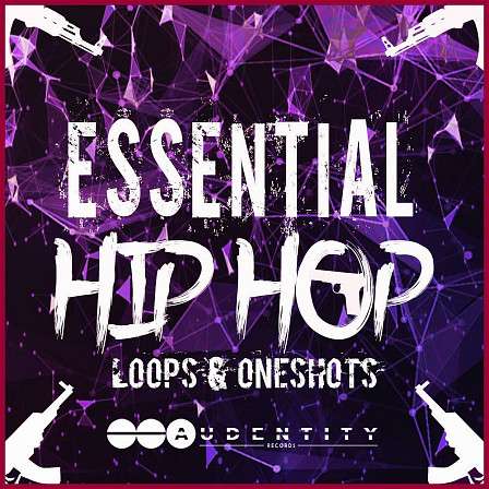 Essential Hip Hop 2 - Melody, bass, vocal and FX loops perfect for any Hip Hop production