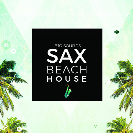 Sax Beach House - Pumping bass loops, catchy melodies, rhythmic pads, leads for builds & more!