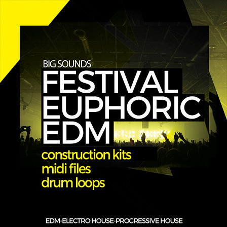 Festival Euphoric EDM - An acoustic trip which transcends space and time!