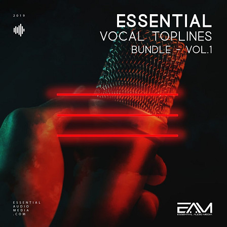 Essential Vocal Toplines Bundle Vol 1 - Catchy vocal toplines and catchy vocal chops!