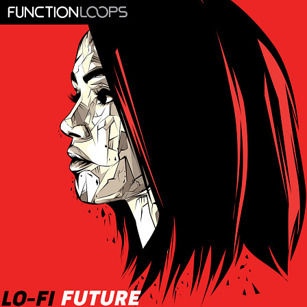 Lo-Fi Future - An interesting and unusual hybrid of musical genres and elements