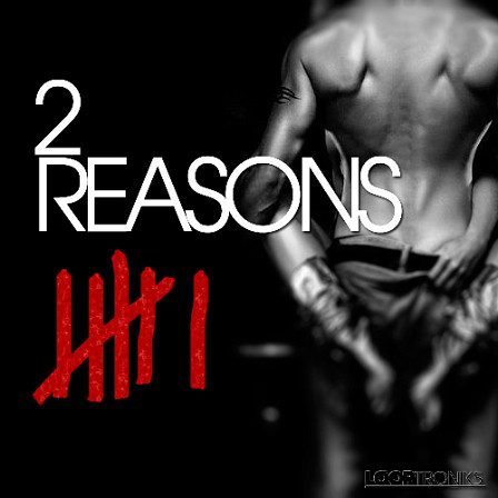 2 Reasons: Chapter 6 - A true producers's dream sample collection of high quality RnB sounds