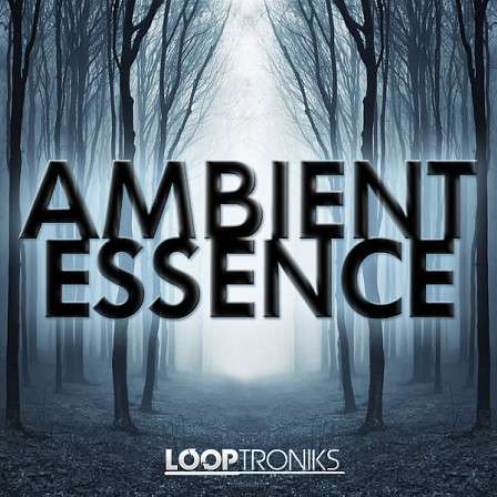 Ambient Essence - Featuring phenomenal chilled and melodic content for your production library