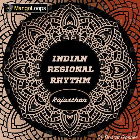 Indian Regional Rhythm: Rajasthan - 48 rhythm patterns called Ghoomar of Rajasthan from northwest India