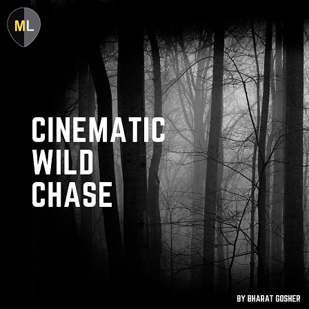 Cinematic Wild Chase Vol 1 - Benefit from these energetic drum loops in your upcoming productions!