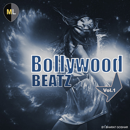 Bollywood Beatz Vol 1 - 50 grooves commonly used in Contemporary Bollywood music!