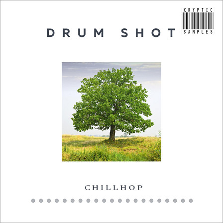 Drum Shot: Chillhop - A unique Drum sample collection of the Drum Shot Series. 