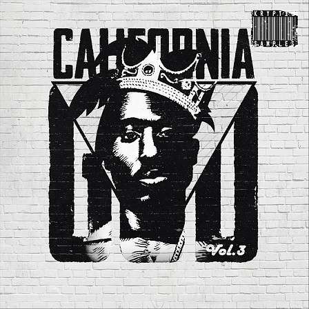 California Vol 3 - This Tupac-inspired series has been designed for Hip Hop producers!