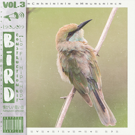 Bird Vol 3 - Scrupulously handcrafted to deliver an arsenal of high-quality sounds.