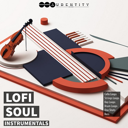 Lofi Soul Instrumentals - 293 quality and usable samples and loops aimed at the Lofi Hip Hop & Soul market