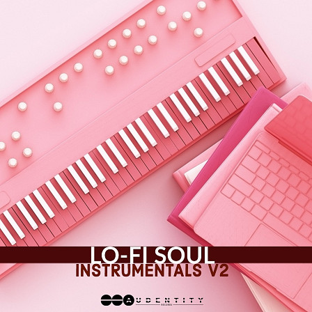 LoFi Soul Instrumentals 2 - 256 high-quality samples and loops aimed at the LoFi Hip-Hop and Soul market