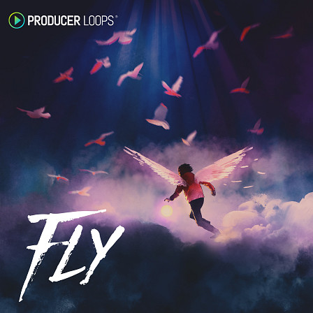 Fly - Five kits performed by Nomeli in the style of chart-topping female pop artists