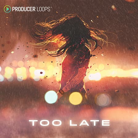 Too Late - A range of beats and instrumentals designed and produced to perfection
