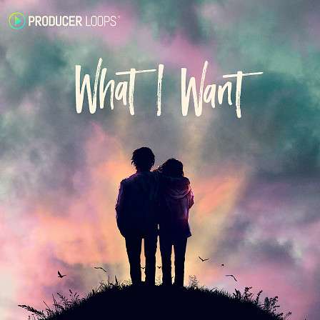 What I Want - An ultra-modern take on Pop Rock with Electro, Synthwave and Trap influences