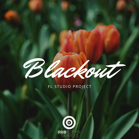 Blackout: FL Studio Project - Inspired by the newest tracks from San Holo, Flume and Marshmello
