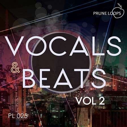 Vocals And Beats Vol 2 - Five catchy top lines to help you produce your own EDM vocal track