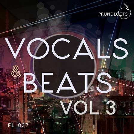 Vocals And Beats Vol 3 - All you have to do is let your imagination take control