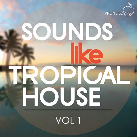 Sounds Like Tropical House Vol 1 - Four lush Tropical House Construction Kits