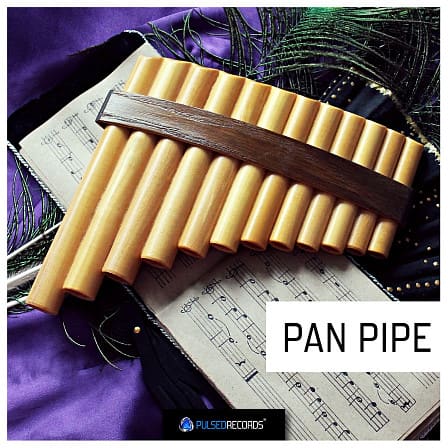 World Series: Pan Pipe - More than 250 phrases featuring the woodwind instrument, the pan pipe