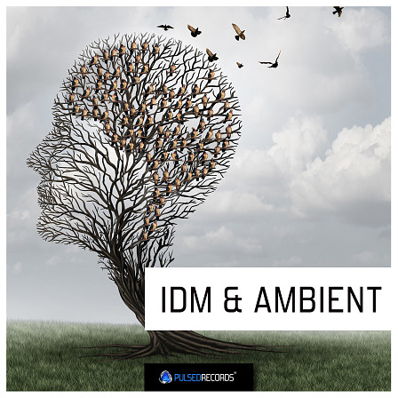 IDM & Ambient - A collection of samples developed for producers of IDM, EDM, Ambient and more