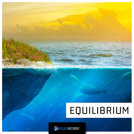 Equilibrium - A collection of sounds designed for producers of Pop, House, Tropical and more