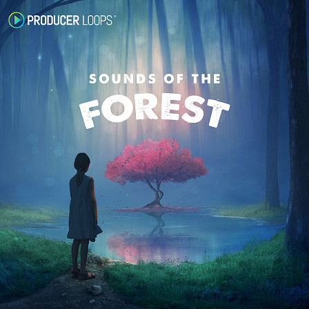 Sounds of the Forest - Peaceful, calm and melodic sounds to ease the mind and soul