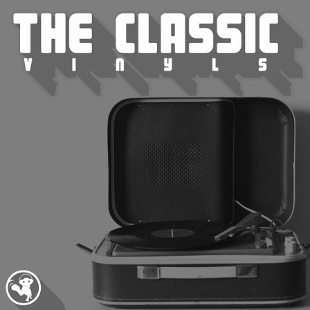 Classic Vinyls, The - Inspired by classic artists from one of the most influential eras in music