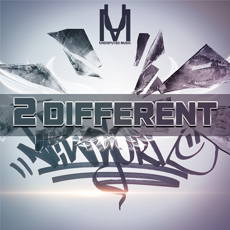 2 Different - A sample pack loaded with five Hip Hop Construction Kits