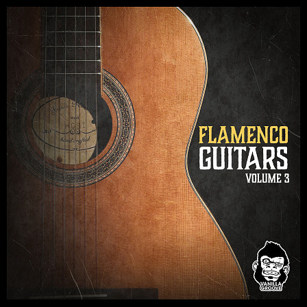 Flamenco Guitars Vol 3 - 80 loops arranged in 5 convenient kits ranging from 80 to 140 BPM