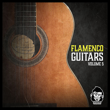 Flamenco Guitars Vol 5 - 120 loops arranged in 5 convenient loop packs