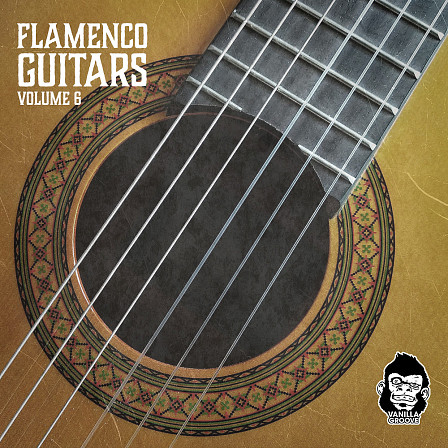 Flamenco Guitars Vol 6 - 113 loops arranged in 6 convenient Construction Kits