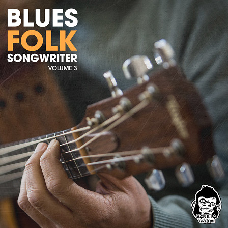 Blues Folk Songwriter Vol 3 - 99 rhythmic and soulful loops played on acoustic guitar and dobro
