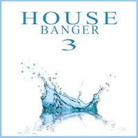 House Banger Vol.3 - All you need to have your own club hit